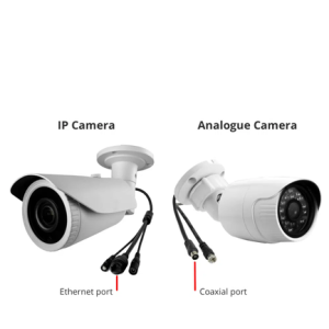 Untitled design (10)